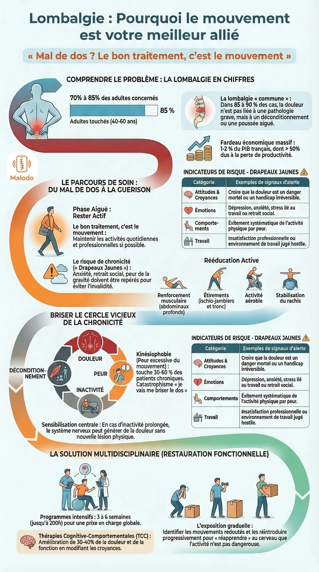 Infographie Malodo : lombalgie, pourquoi le mouvement est votre meilleur allié